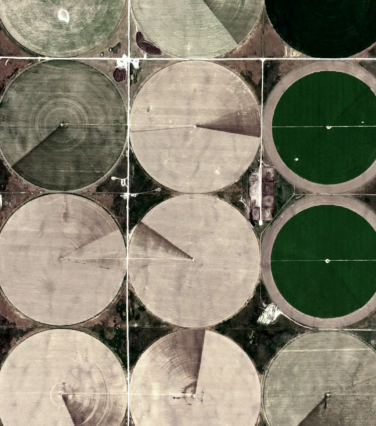 Aerial view: fields and pivots on section lines.