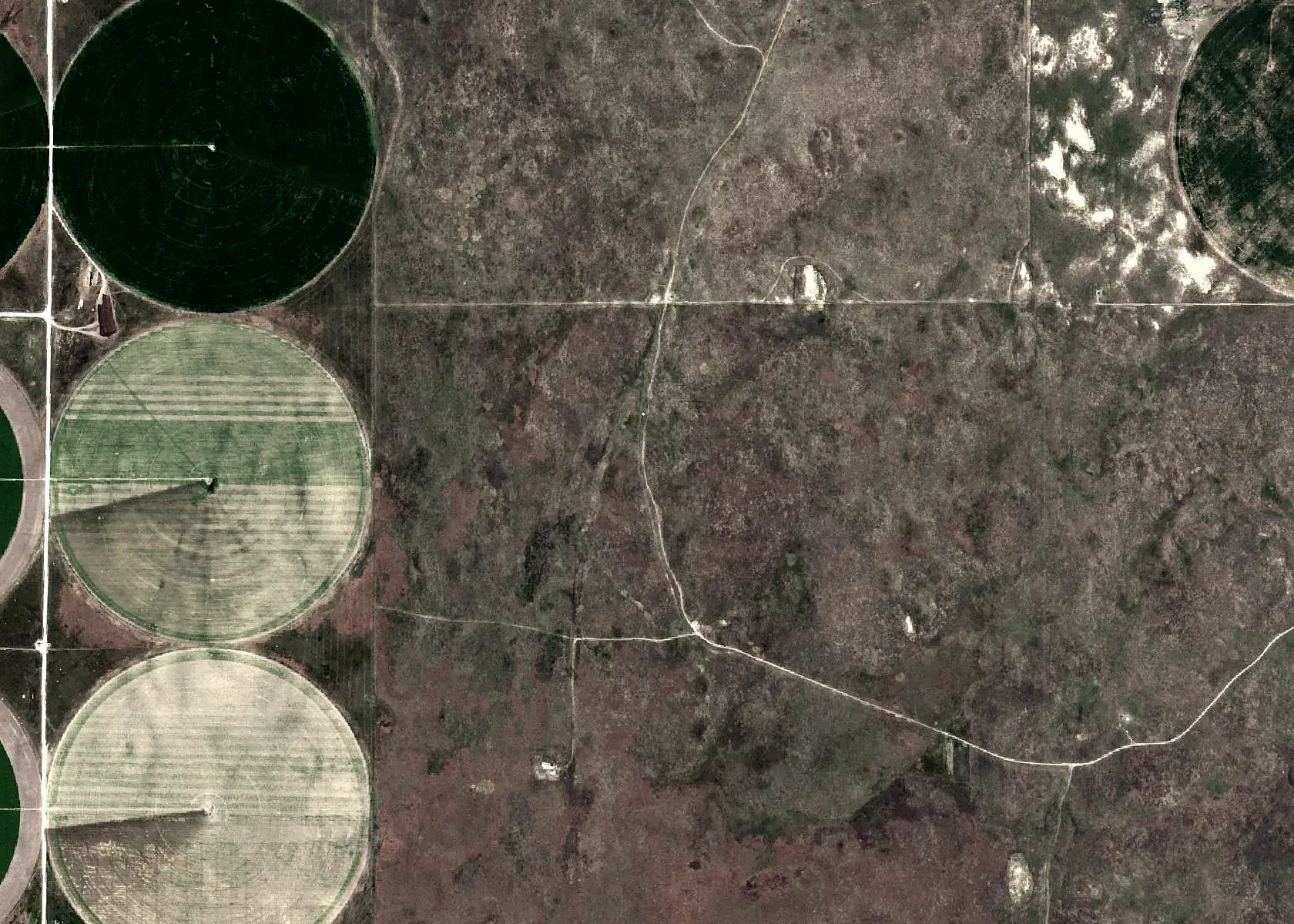 Aerial view: pivots and open range on section lines.