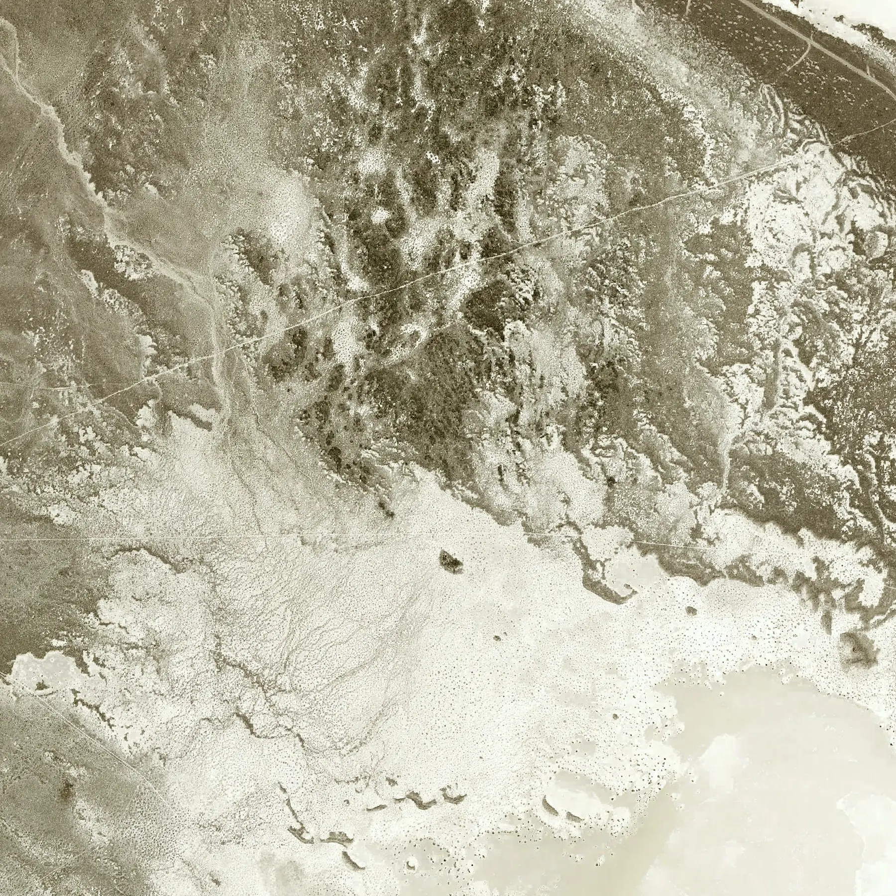 Aerial view: playa texture at the edge of a Nevada basin.