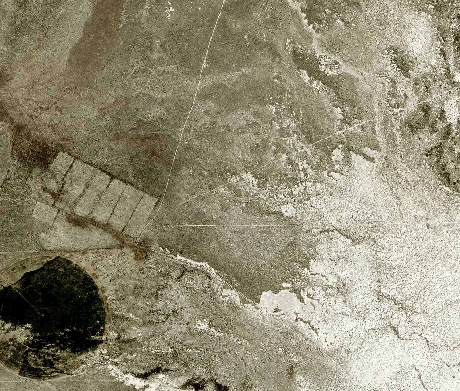 Aerial view: a basin floor meeting a playa.